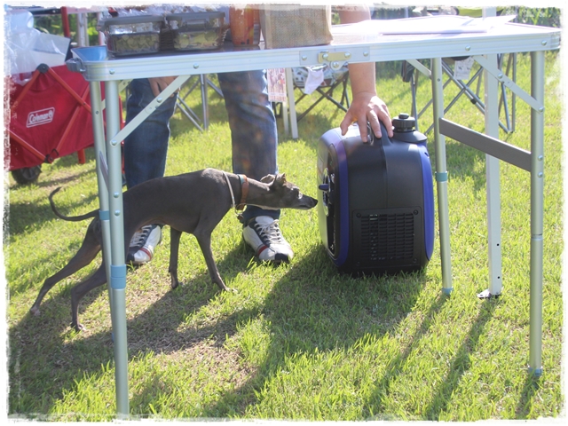 f:id:gino-ig:20170523222748j:plain