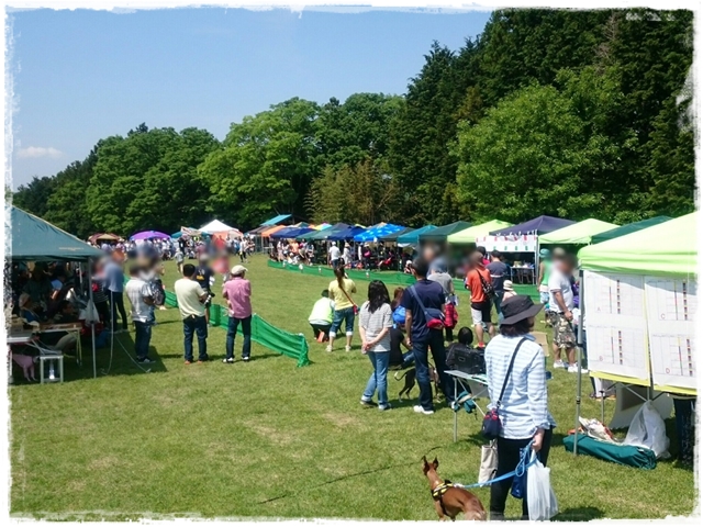 f:id:gino-ig:20170523223858j:plain