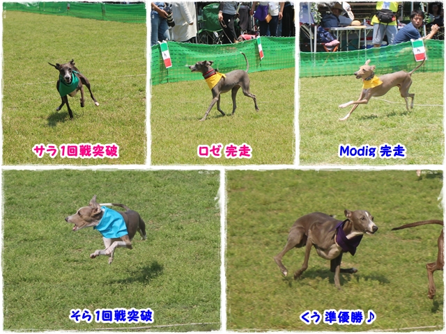 f:id:gino-ig:20170523225629j:plain