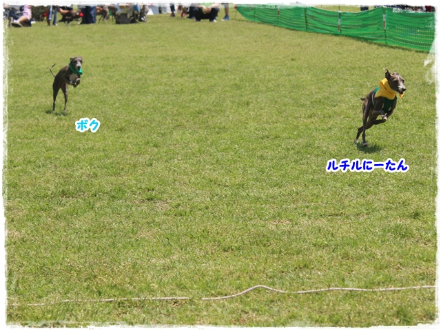 f:id:gino-ig:20170523225907j:plain