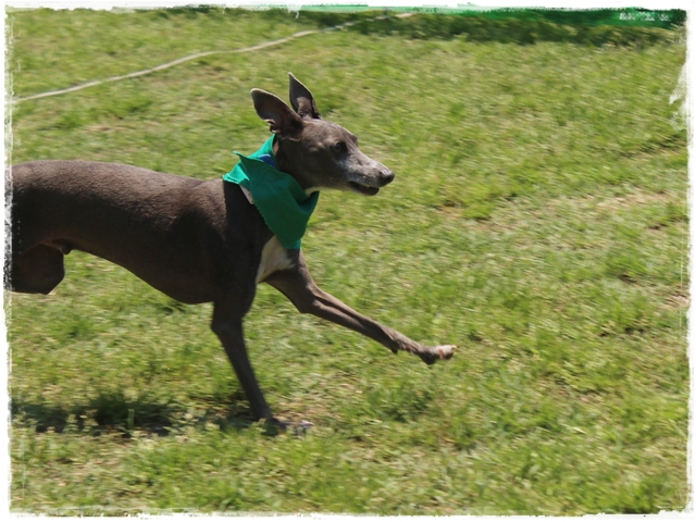 f:id:gino-ig:20170523230157j:plain