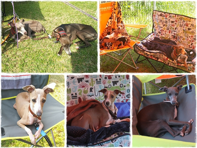 f:id:gino-ig:20170523231138j:plain