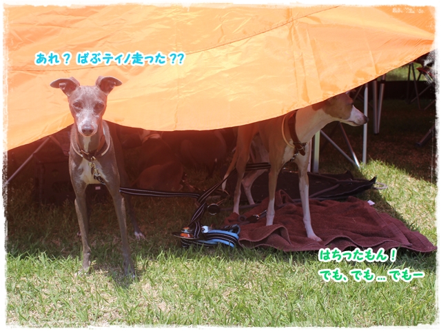 f:id:gino-ig:20170523231402j:plain