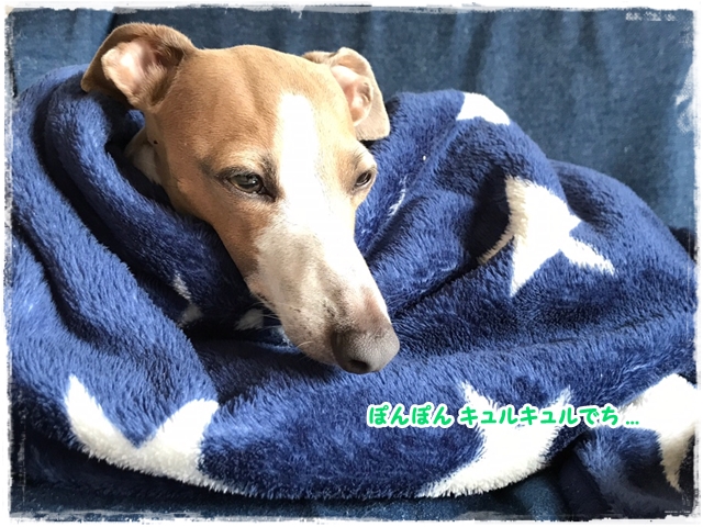 f:id:gino-ig:20170525230042j:plain