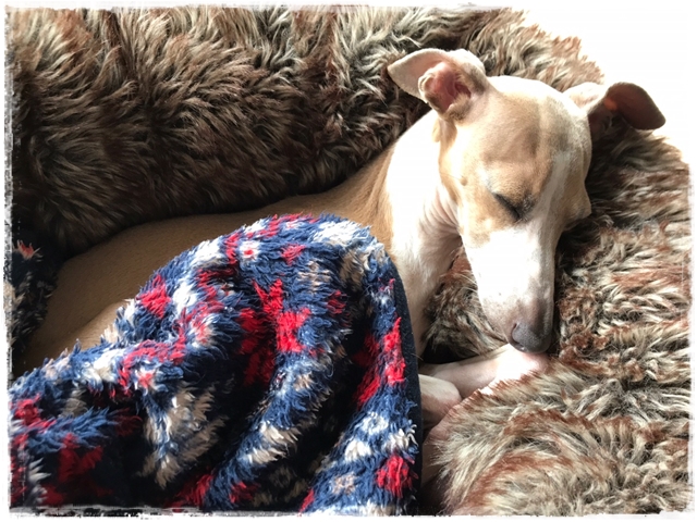 f:id:gino-ig:20170525230335j:plain