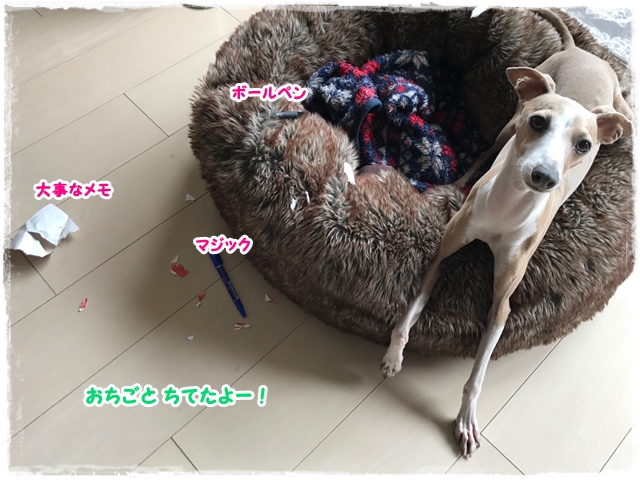 f:id:gino-ig:20170525230924j:plain