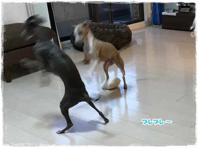 f:id:gino-ig:20170613234900j:plain