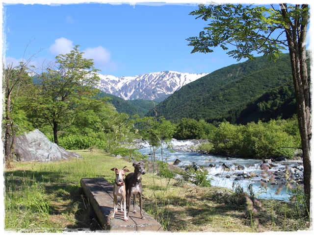 f:id:gino-ig:20170618225051j:plain