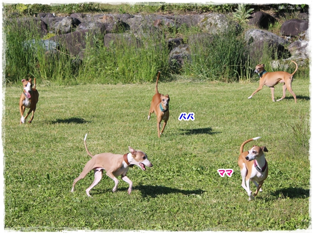 f:id:gino-ig:20170618231209j:plain