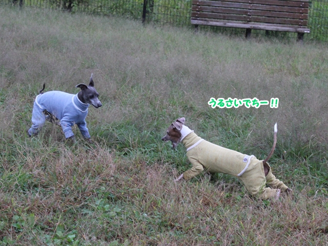 f:id:gino-ig:20171015232203j:plain