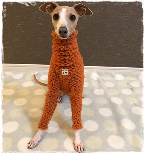 f:id:gino-ig:20171025000511j:plain