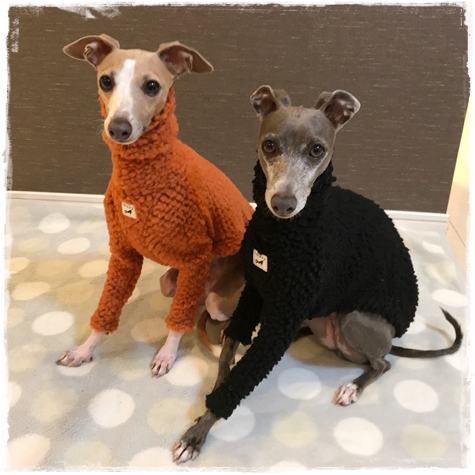 f:id:gino-ig:20171025000553j:plain