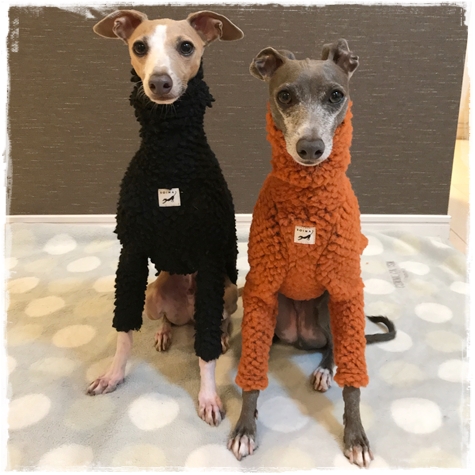 f:id:gino-ig:20171025000704j:plain