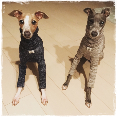 f:id:gino-ig:20171025232300j:plain