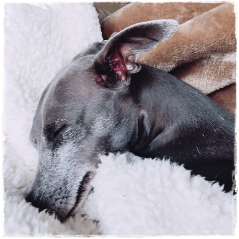 f:id:gino-ig:20171106225657j:plain