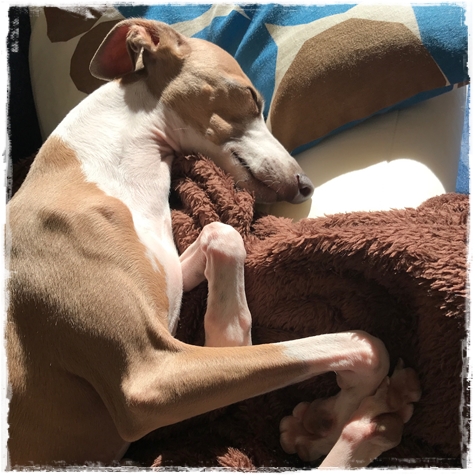 f:id:gino-ig:20171106225802j:plain