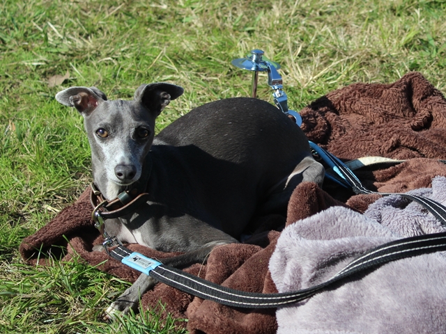 f:id:gino-ig:20171107232029j:plain