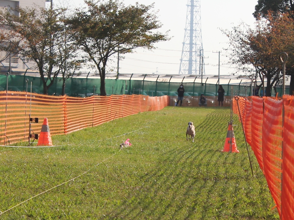 f:id:gino-ig:20171107233010j:plain