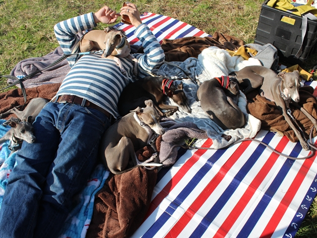 f:id:gino-ig:20171107234053j:plain