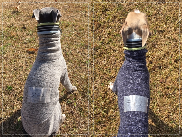 f:id:gino-ig:20171126233617j:plain