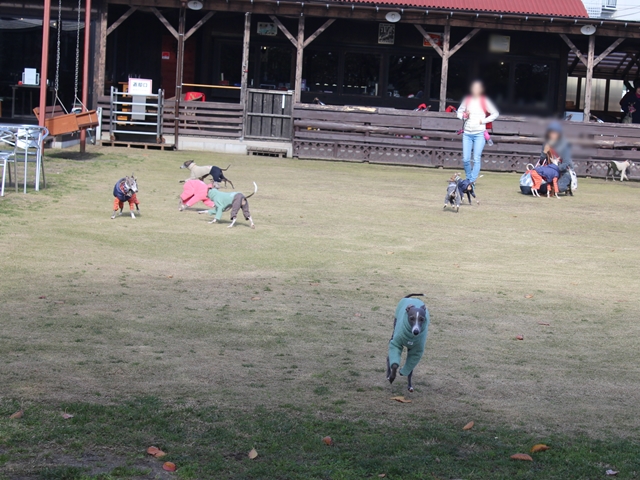 f:id:gino-ig:20171126234421j:plain