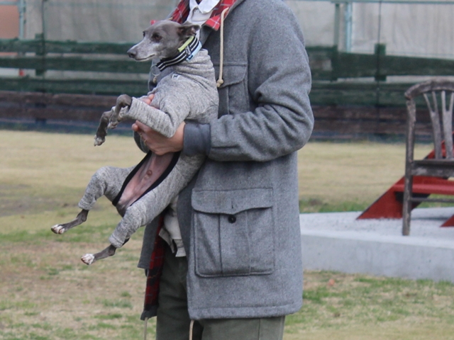 f:id:gino-ig:20171127225441j:plain f:id:gino-ig:20171127225441j:plain