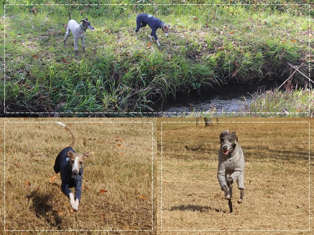 f:id:gino-ig:20171128233917j:plain