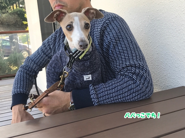 f:id:gino-ig:20171128234450j:plain