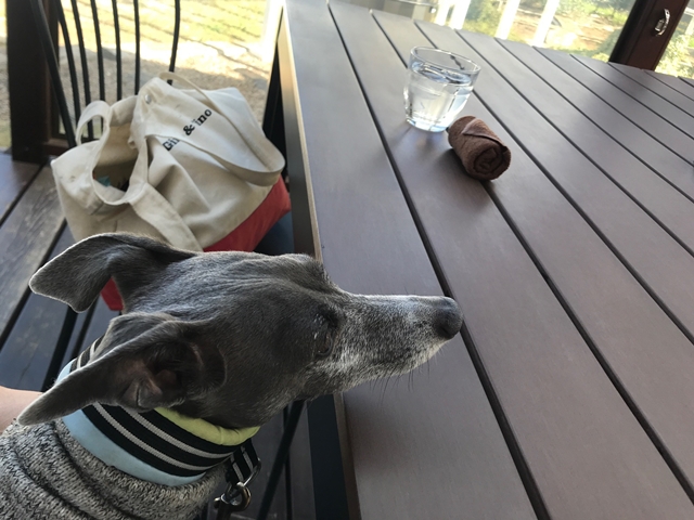 f:id:gino-ig:20171128234620j:plain