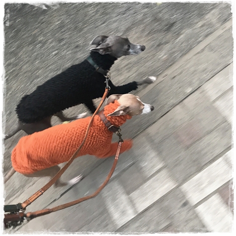 f:id:gino-ig:20171202000548j:plain