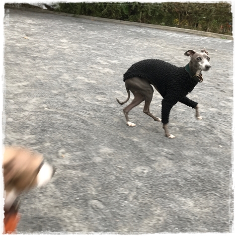 f:id:gino-ig:20171202000652j:plain