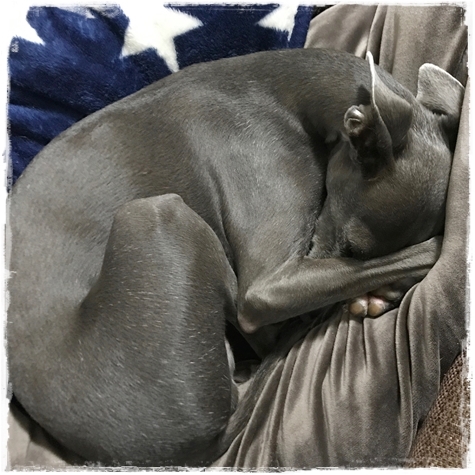 f:id:gino-ig:20171202000733j:plain