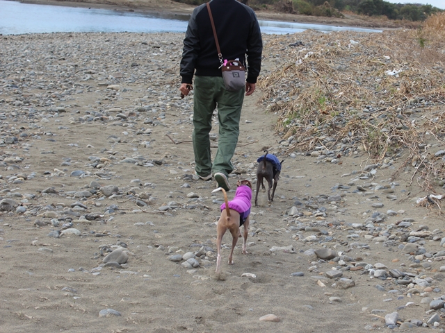 f:id:gino-ig:20171202232939j:plain