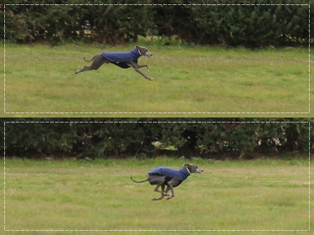 f:id:gino-ig:20171202234724j:plain