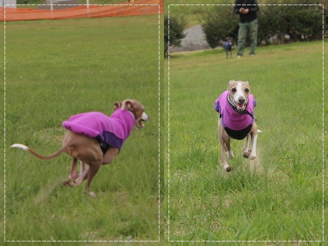 f:id:gino-ig:20171202235321j:plain