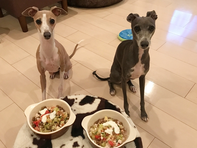 f:id:gino-ig:20171206235417j:plain