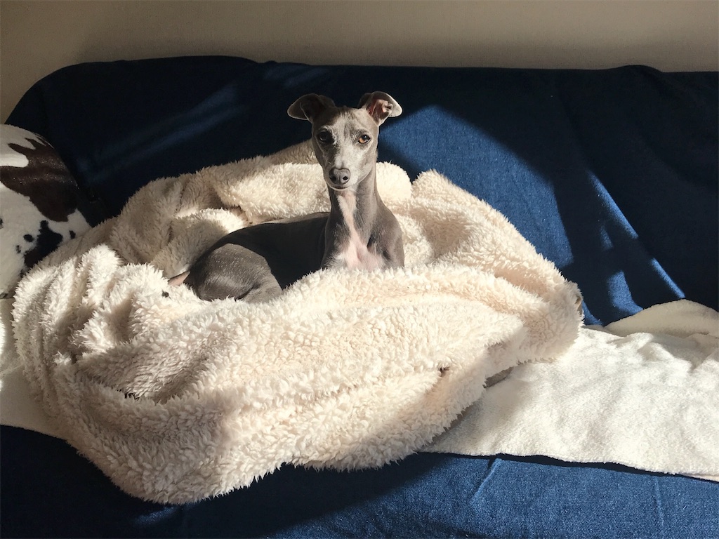 f:id:gino-ig:20171214000300j:image f:id:gino-ig:20171214000300j:image