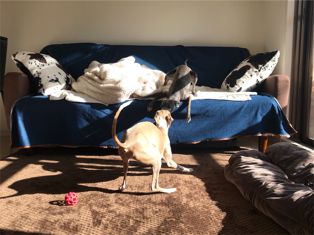 f:id:gino-ig:20171214000426j:image f:id:gino-ig:20171214000426j:image