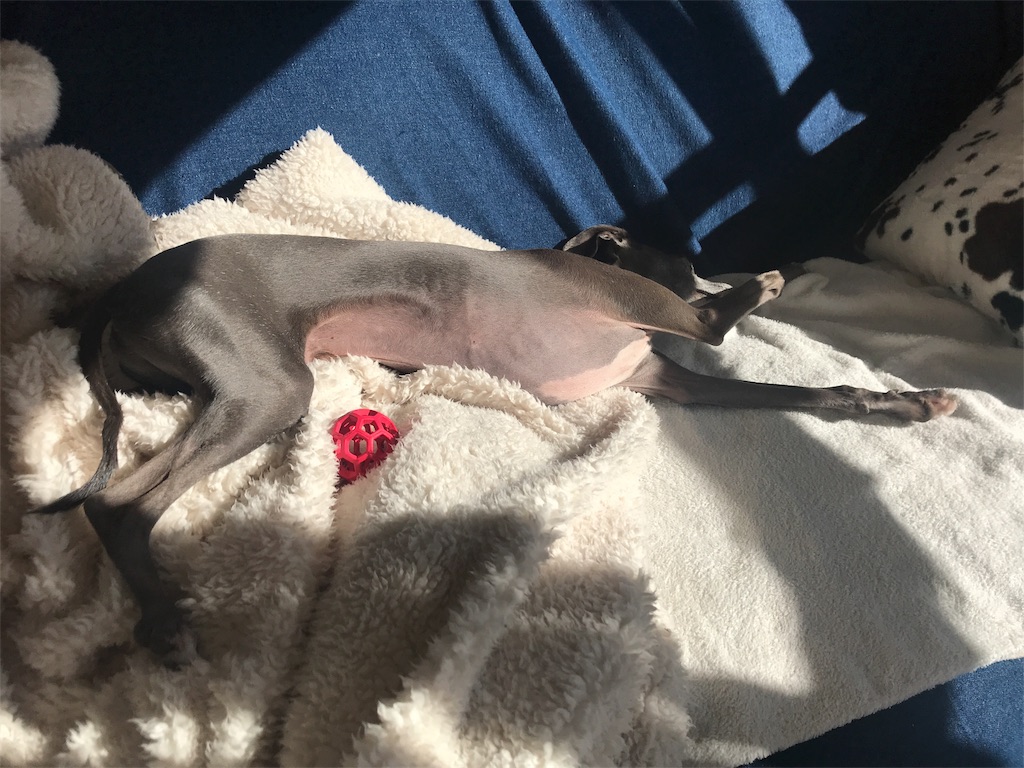 f:id:gino-ig:20171214000654j:image f:id:gino-ig:20171214000654j:image