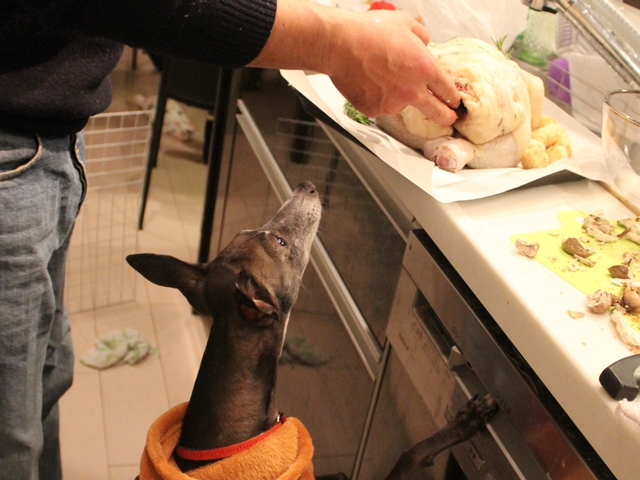 f:id:gino-ig:20171226000431j:plain