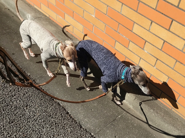 f:id:gino-ig:20171227233309j:plain f:id:gino-ig:20171227233309j:plain