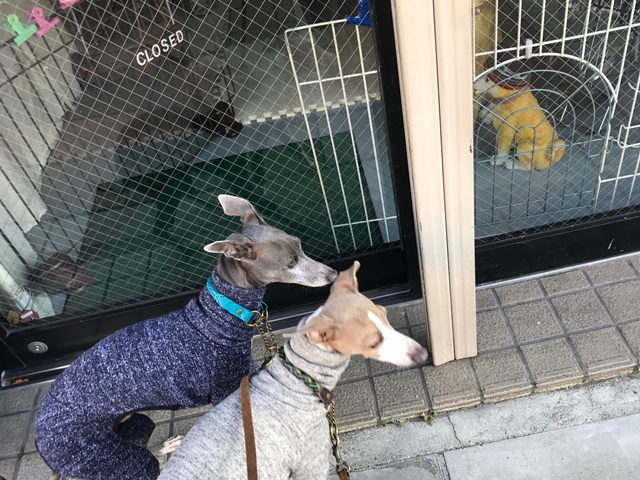 f:id:gino-ig:20171227233504j:plain f:id:gino-ig:20171227233504j:plain