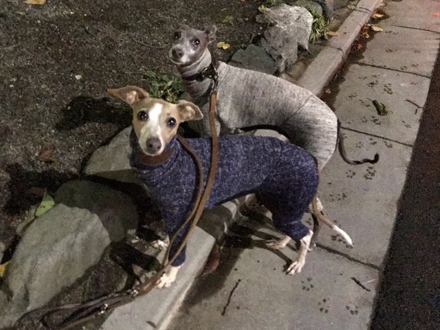 f:id:gino-ig:20171227233909j:plain f:id:gino-ig:20171227233909j:plain