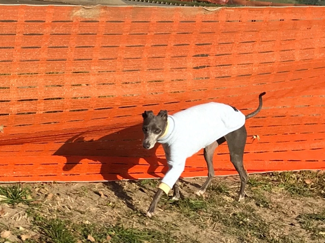 f:id:gino-ig:20171228235507j:plain