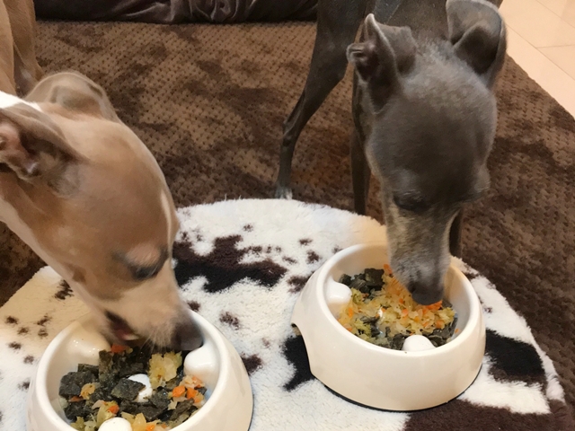 f:id:gino-ig:20180102233226j:plain f:id:gino-ig:20180102233226j:plain