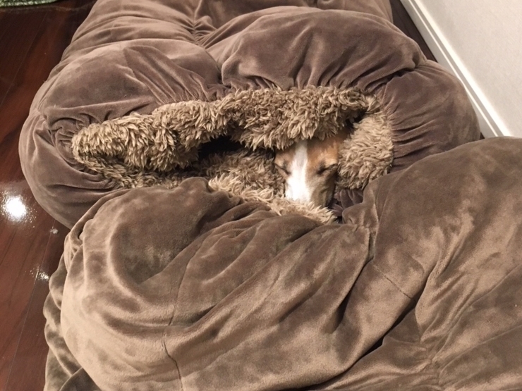 f:id:gino-ig:20180107201752j:plain