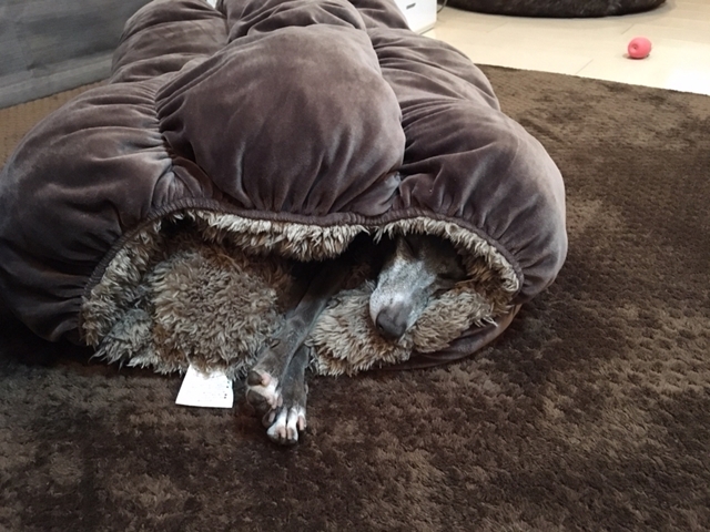 f:id:gino-ig:20180107201905j:plain