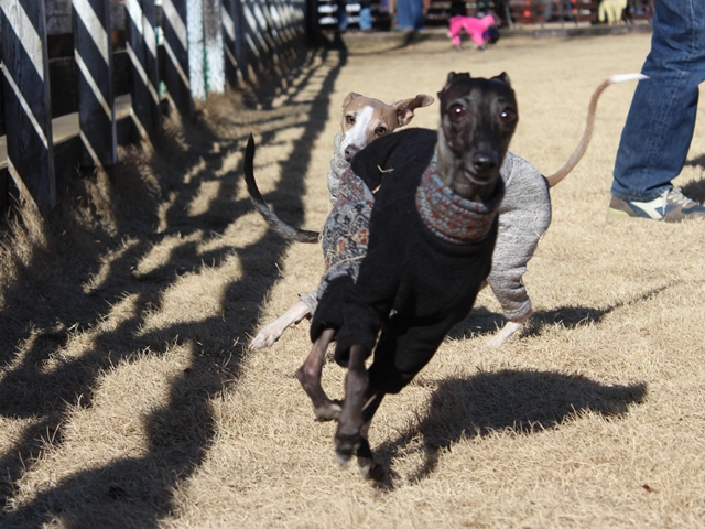 f:id:gino-ig:20180108001550j:plain