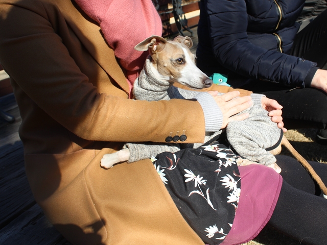 f:id:gino-ig:20180108002023j:plain