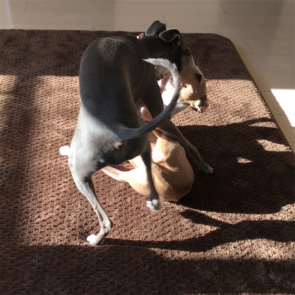 f:id:gino-ig:20180110235859j:image